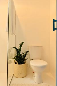 托兰克索Villa Joá - Casa的一间带卫生间和盆栽的浴室