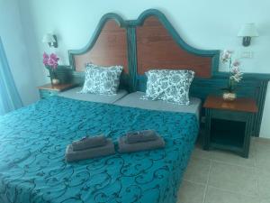 El GuinchoSunset apartment的一间卧室配有一张大蓝色的床和两个枕头