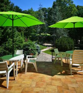 鲍洛通塞迈什BALATON ART Guesthouse的一个带桌椅和绿色遮阳伞的庭院