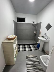 乌图罗阿Stay 'n Go - Raiatea的带淋浴、盥洗盆和卫生间的浴室