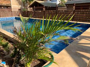 巴拉格兰德BEACH HOUSE - Suite 2 - NA PRAIA -BEACHFRONT的游泳池旁的棕榈树