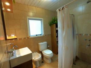 圣马丁德洛斯Casas Nahuilen的浴室配有卫生间、盥洗盆和淋浴。