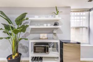 华盛顿Spacious Suite in Deanwood + Free Parking的厨房配有烤面包机和植物