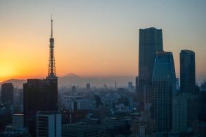 东京东京帕克酒店的日落时分享有城市天际线的景致