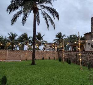 波多诺伏Ivy Residence 4br 6ba with terrasse的棕榈树在院子里,旁边是一面灯火通明的墙