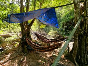 邦隆Farmer home stay & trekking的一对吊床绑在树上