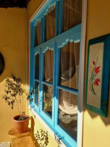 舍基Guest House Ruh Achari的一间房间里一扇带盆栽植物的蓝色窗户