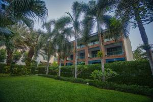 华欣华欣碧海旅馆的庭院前有棕榈树的建筑