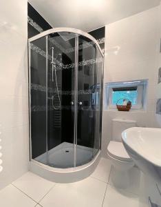 扎科帕内HELLO GIEWONT的带淋浴、卫生间和盥洗盆的浴室