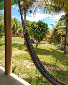 库穆鲁沙蒂巴Chalé Ilha Verde-Cumuruxatiba的棕榈树公园的吊床
