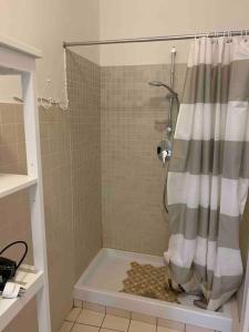 都灵Accogliente Trilocale in Gran Madre的浴室内配有淋浴帘。