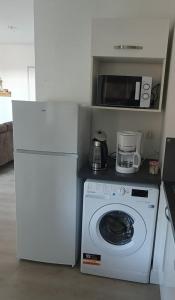 图卢兹Grand Appart T3, centre, gare, métro, parking privé的厨房配有微波炉和洗衣机。