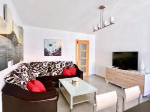 格拉纳达Espléndido Apartamento con Wifi的带沙发和电视的客厅