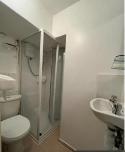 伦敦Entire apartment L B Haringey, Alexandra palace的带淋浴、卫生间和盥洗盆的浴室