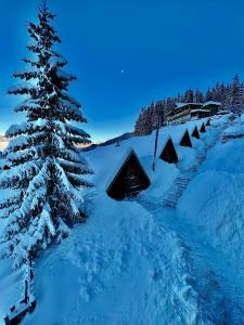 佩奇Hotel Te Liqeni的雪中圣诞树小屋