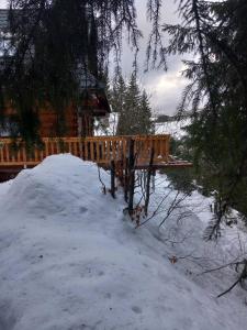 维许纳波察Drevenica Čertovica的小屋前的雪地长凳