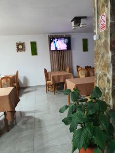 帕迪斯Popas Turistic Padis的一间餐厅,在房间里摆放桌子和植物