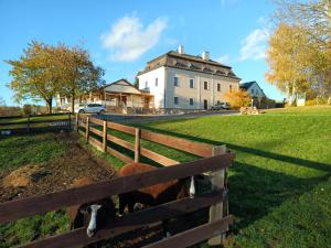 SněžnéResort Líšenský Dvůr的几只羊站在围栏后面