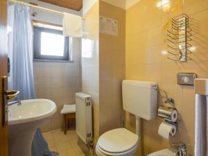 迪马罗阿尔贝格迪马洛健康酒店的一间带卫生间和水槽的浴室