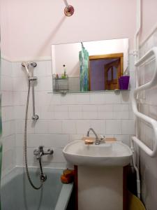 利沃夫Apartments in Lviv的浴室配有盥洗盆和带镜子的淋浴
