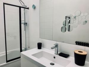 雷恩Le Saint HeL, Magnifique T2 en face du TNB的白色的浴室设有水槽和镜子