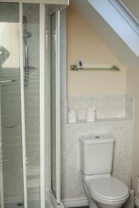 纽尼顿Avril Warwickshire Home Stay的一间带卫生间和淋浴的浴室