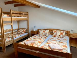 Ubytování v podkroví的一间卧室设有两张双层床和梯子