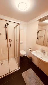 布列瑟农Appartement Nadia的带淋浴、卫生间和盥洗盆的浴室