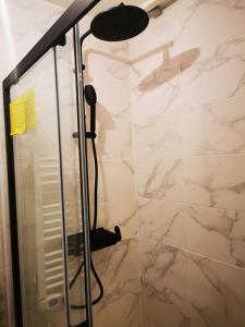 蓬图瓦兹Charming room/belle chambre的带淋浴的浴室和玻璃门