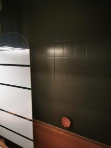 蓬图瓦兹Charming room/belle chambre的一间设有黑色墙壁淋浴的浴室