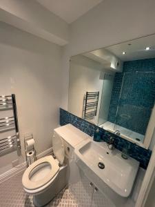 伦敦米尔德梅路公寓的一间带卫生间、水槽和镜子的浴室
