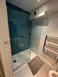 伦敦米尔德梅路公寓的一间带卫生间的浴室内的玻璃淋浴间