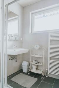 采尔特韦格Gasthaus zur Waldschenke的白色的浴室设有水槽和卫生间。