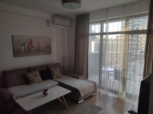贝尔格莱德Belgrade Waterfront Comfortable Apartment的带沙发和大窗户的客厅
