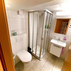 Guest Apartment Seeland的带淋浴、卫生间和盥洗盆的浴室