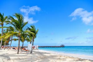 蓬塔卡纳Honky Tonk Punta Cana的棕榈树海滩和码头