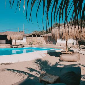维加伊托Oasis de Vichayito的一个带游泳池和棕榈树的度假村