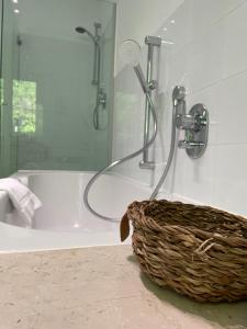 洛豪SUNSET Apartment direkt am Bodensee mit Parkplatz的带淋浴和浴缸及淋浴的浴室