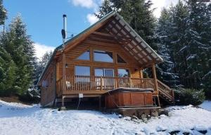 帕克伍德Mountain View Cabin, Hot Tub at White Pass, Mt Rainier National Park的雪中树下的小木屋