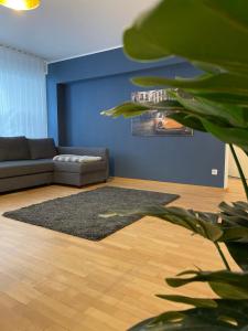 布雷根茨Stylische Wohnung mitten in der Stadt Bregenz的带沙发和地毯的客厅