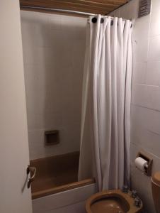乌斯帕亚塔Altos Penitentes Lomas Blancas, dúplex的带淋浴帘和卫生间的浴室