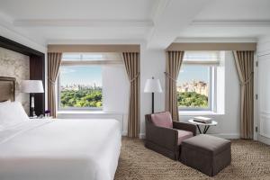 纽约纽约中央公园丽思卡尔顿酒店的酒店客房带一张床、椅子和窗户