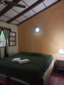 格拉纳达卡萨巴塞罗那酒店的一间卧室配有绿床和毛巾