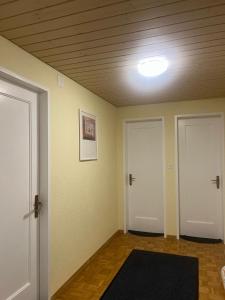 NiederdorfNiederdorf, Baselland Hotel的一个空房间,有两个门和一个地毯