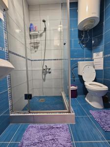 波德戈里察Apartments Aerodrom的带淋浴和卫生间的浴室以及紫色地毯。