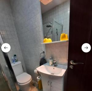 索科矿泉村Cera luxe apartment的一间带水槽、卫生间和镜子的浴室