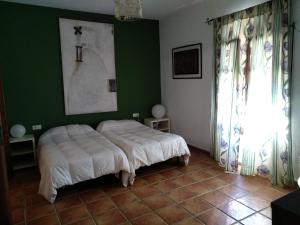 莫内斯特里奥CASA RURAL LA CABRA DEL MEDIO的卧室设有一张位于绿色墙壁上的床铺