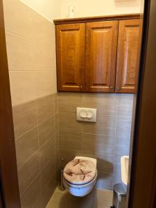 布达佩斯Perfect Relax的一间带卫生间和木制橱柜的浴室