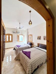 卢克索Dar Lina Guesthouse Luxor的一间卧室,配有两张床