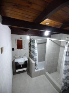 普埃洛湖Cabañas Lamani的一间带水槽、浴缸和淋浴的浴室
